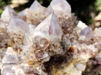 Natural Amethyst Spirit Quartz Cluster x 1 From Boekenhouthoek, South Africa - Toprock Gemstones and Minerals 