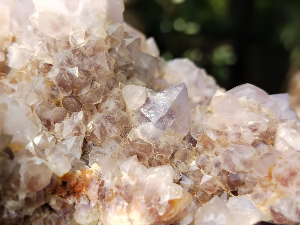 Natural Amethyst Spirit Quartz Cluster x 1 From Boekenhouthoek, South Africa - Toprock Gemstones and Minerals 