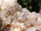 Natural Amethyst Spirit Quartz Cluster x 1 From Boekenhouthoek, South Africa - Toprock Gemstones and Minerals 