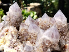 Natural Amethyst Spirit Quartz Cluster x 1 From Boekenhouthoek, South Africa - Toprock Gemstones and Minerals 