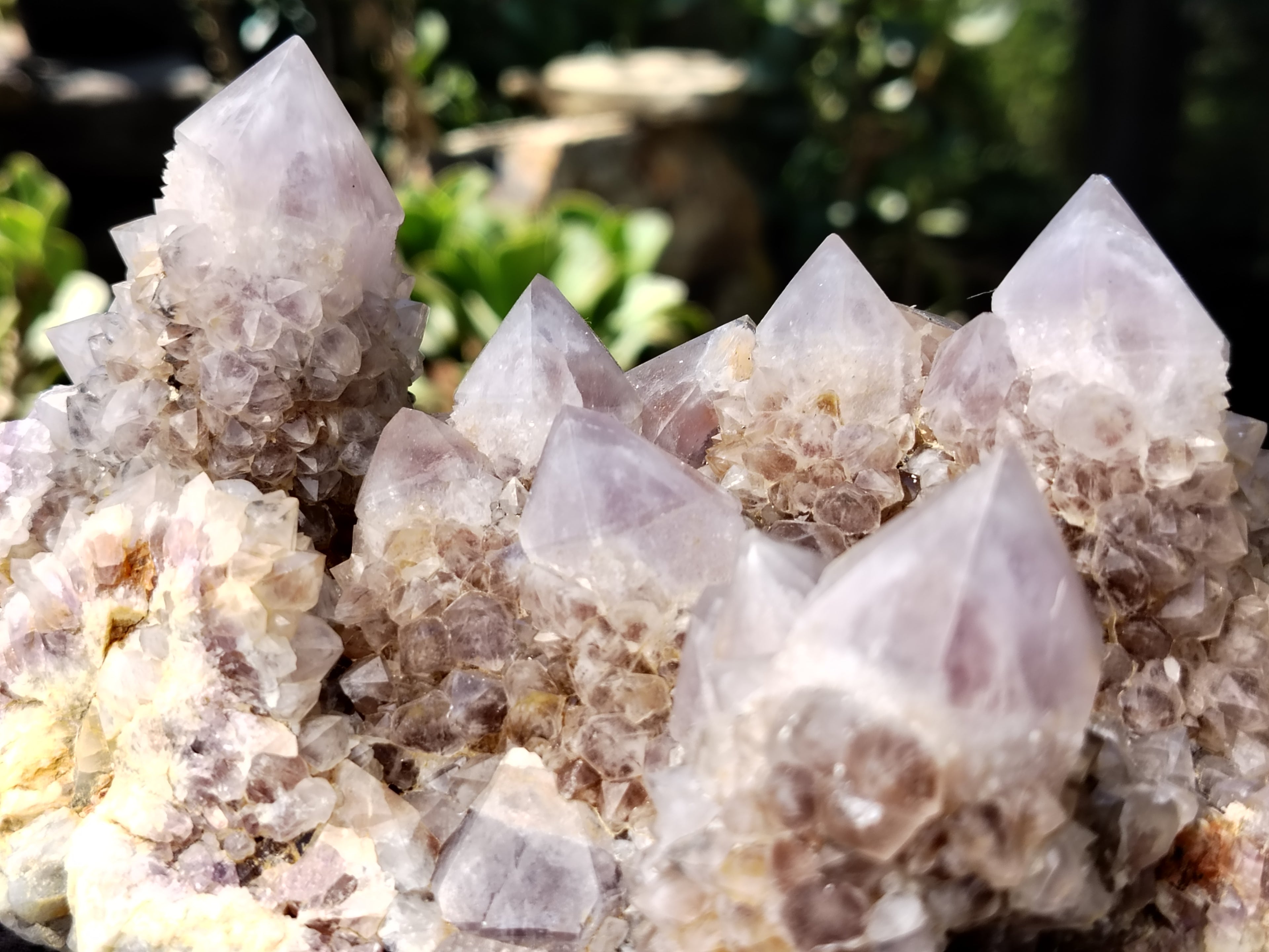 Natural Amethyst Spirit Quartz Cluster x 1 From Boekenhouthoek, South Africa - Toprock Gemstones and Minerals 