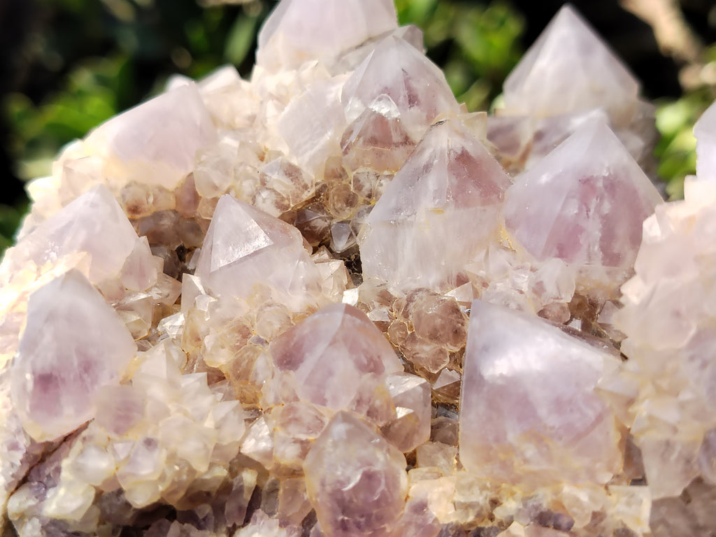 Natural Amethyst Spirit Quartz Cluster x 1 From Boekenhouthoek, South Africa - Toprock Gemstones and Minerals 