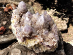 Natural Amethyst Spirit Quartz Cluster x 1 From Boekenhouthoek, South Africa - Toprock Gemstones and Minerals 