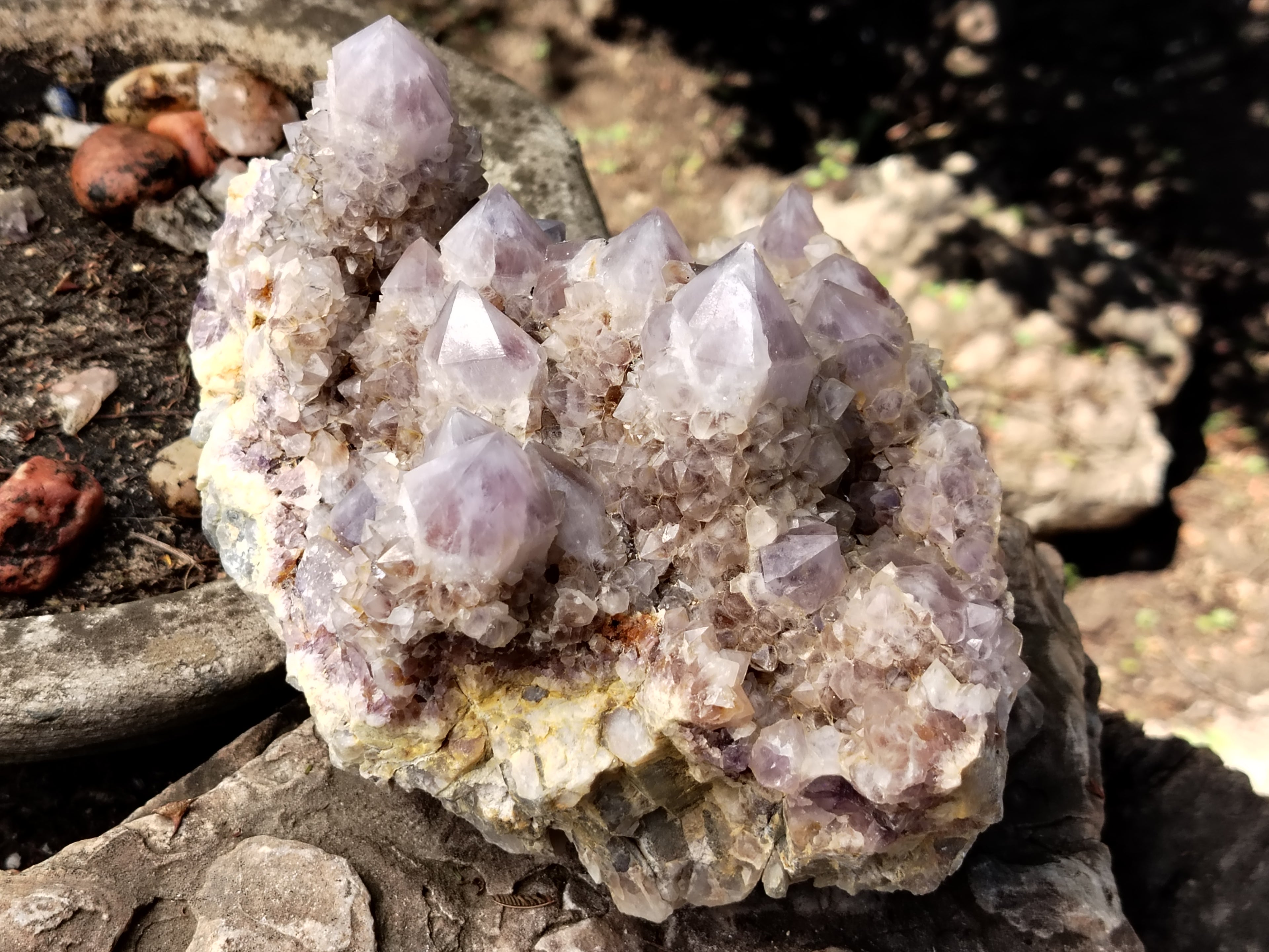 Natural Amethyst Spirit Quartz Cluster x 1 From Boekenhouthoek, South Africa - Toprock Gemstones and Minerals 