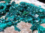 Natural Large Dioptase Specimen x 1 From Likasi, Congo - Toprock Gemstones and Minerals 