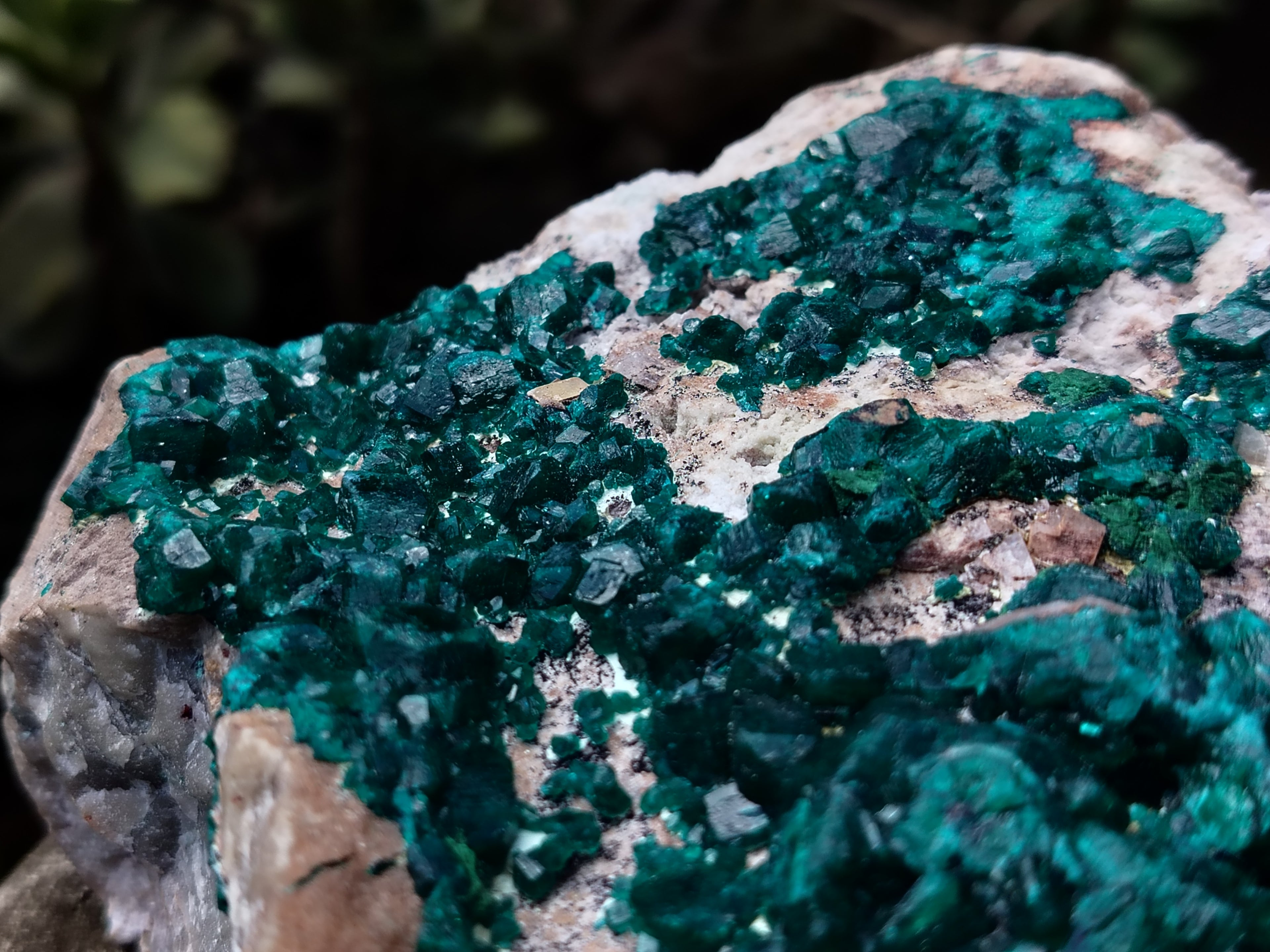 Natural Large Dioptase Specimen x 1 From Likasi, Congo - Toprock Gemstones and Minerals 