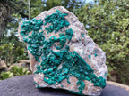 Natural Large Dioptase Specimen x 1 From Likasi, Congo - Toprock Gemstones and Minerals 