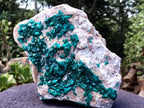 Natural Large Dioptase Specimen x 1 From Likasi, Congo - Toprock Gemstones and Minerals 
