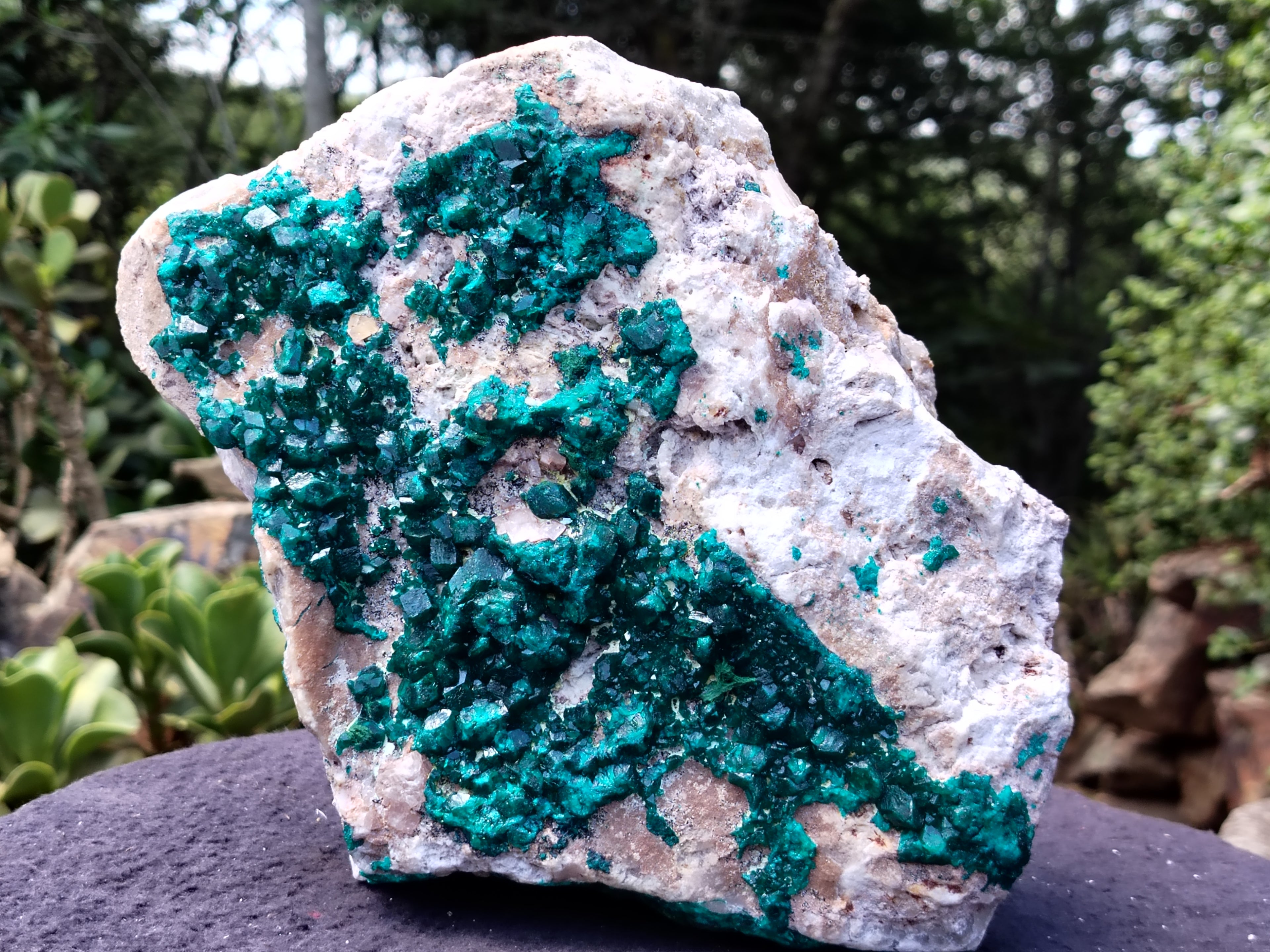 Natural Large Dioptase Specimen x 1 From Likasi, Congo - Toprock Gemstones and Minerals 
