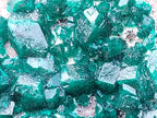 Natural Large Dioptase Specimen x 1 From Likasi, Congo - Toprock Gemstones and Minerals 