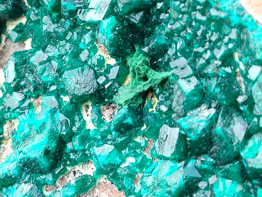 Natural Large Dioptase Specimen x 1 From Likasi, Congo - Toprock Gemstones and Minerals 