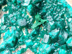 Natural Large Dioptase Specimen x 1 From Likasi, Congo - Toprock Gemstones and Minerals 