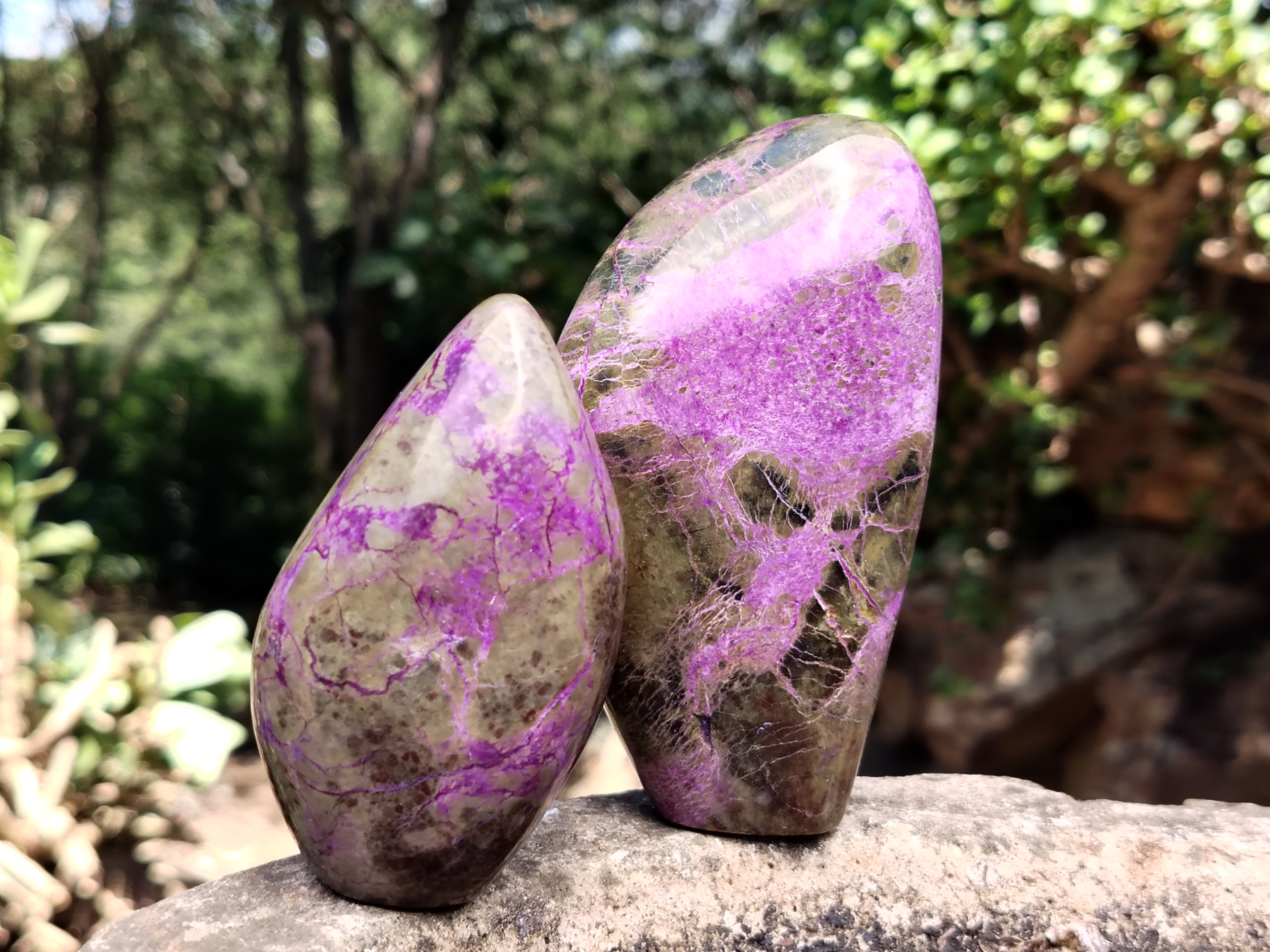 Polished Stichtite Standing Free Forms x 6 From Barberton, South Africa - Toprock Gemstones and Minerals 