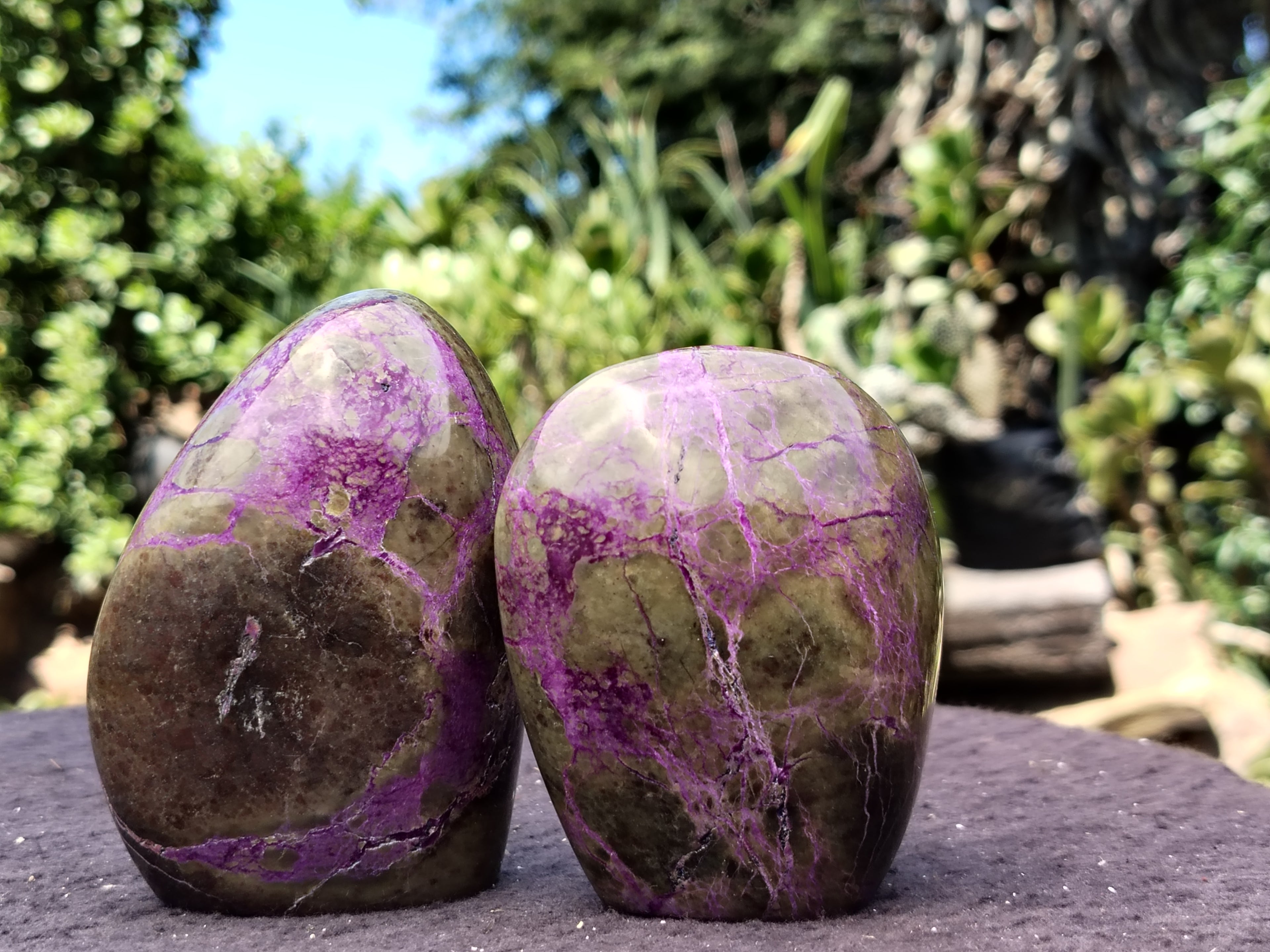 Polished Stichtite Standing Free Forms x 6 From Barberton, South Africa - Toprock Gemstones and Minerals 
