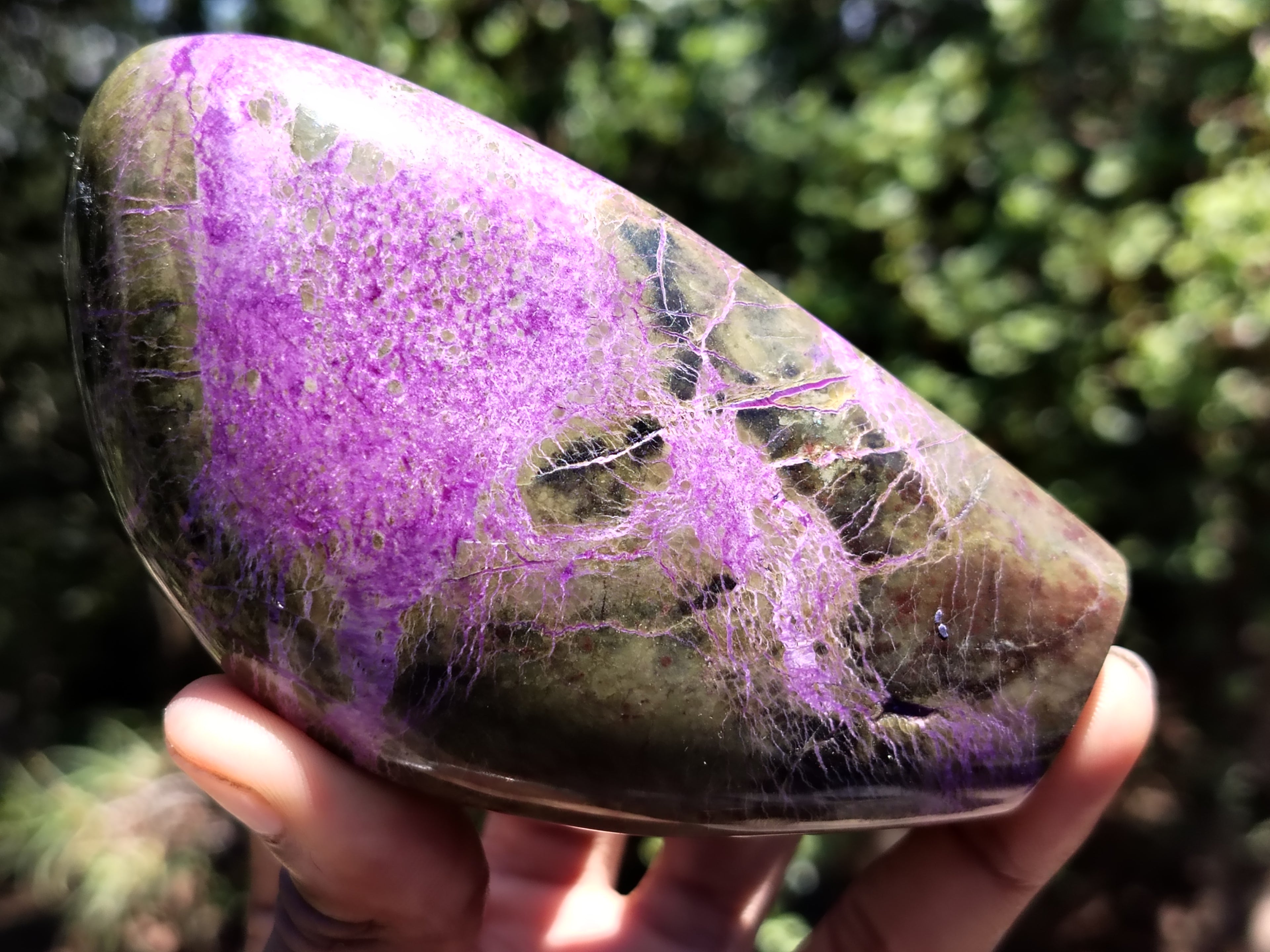 Polished Stichtite Standing Free Forms x 6 From Barberton, South Africa - Toprock Gemstones and Minerals 