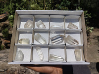 Polished Clear Quartz Crystals with Rainbow Veils x 12 From Madagascar