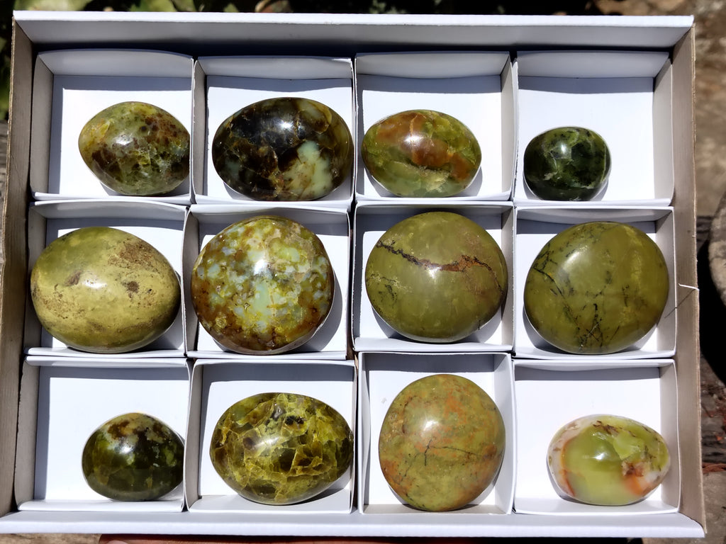 Polished Green Opal Palm Stones x 12 From Madagascar - Toprock Gemstones and Minerals 