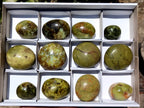 Polished Green Opal Palm Stones x 12 From Madagascar - Toprock Gemstones and Minerals 