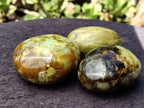Polished Green Opal Palm Stones x 12 From Madagascar - Toprock Gemstones and Minerals 