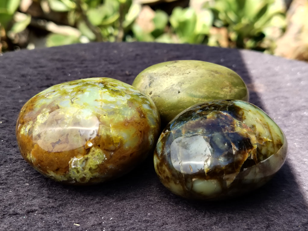 Polished Green Opal Palm Stones x 12 From Madagascar - Toprock Gemstones and Minerals 