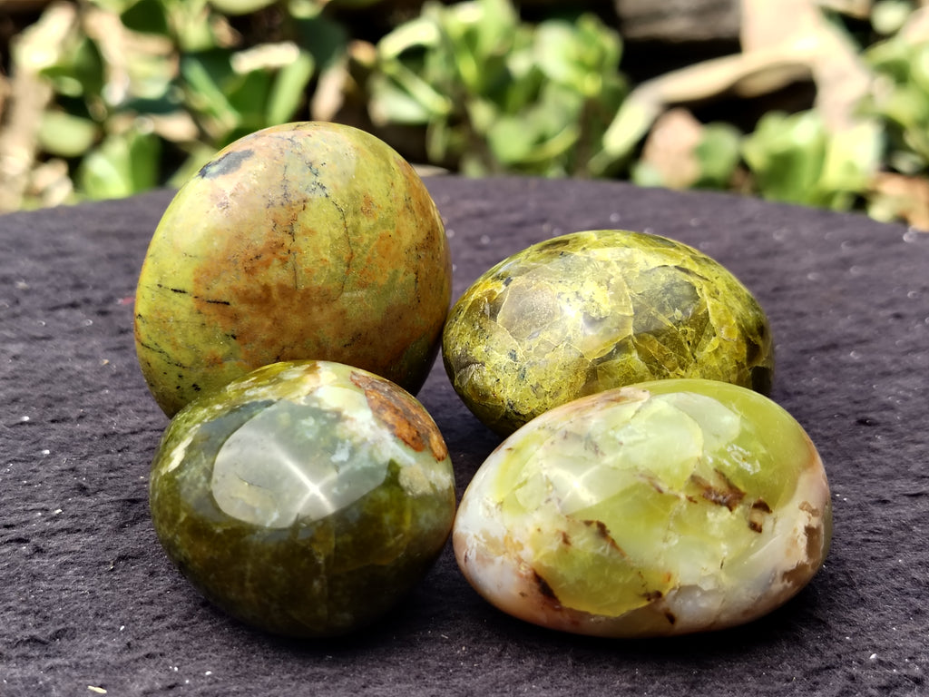 Polished Green Opal Palm Stones x 12 From Madagascar - Toprock Gemstones and Minerals 