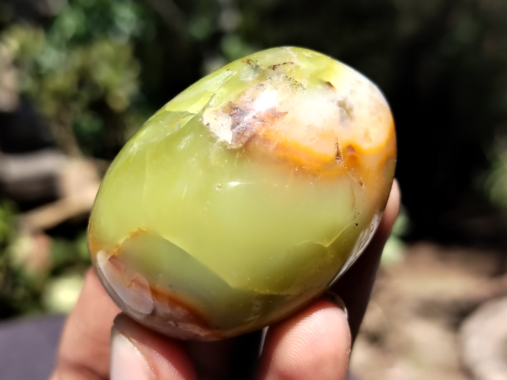 Polished Green Opal Palm Stones x 12 From Madagascar - Toprock Gemstones and Minerals 