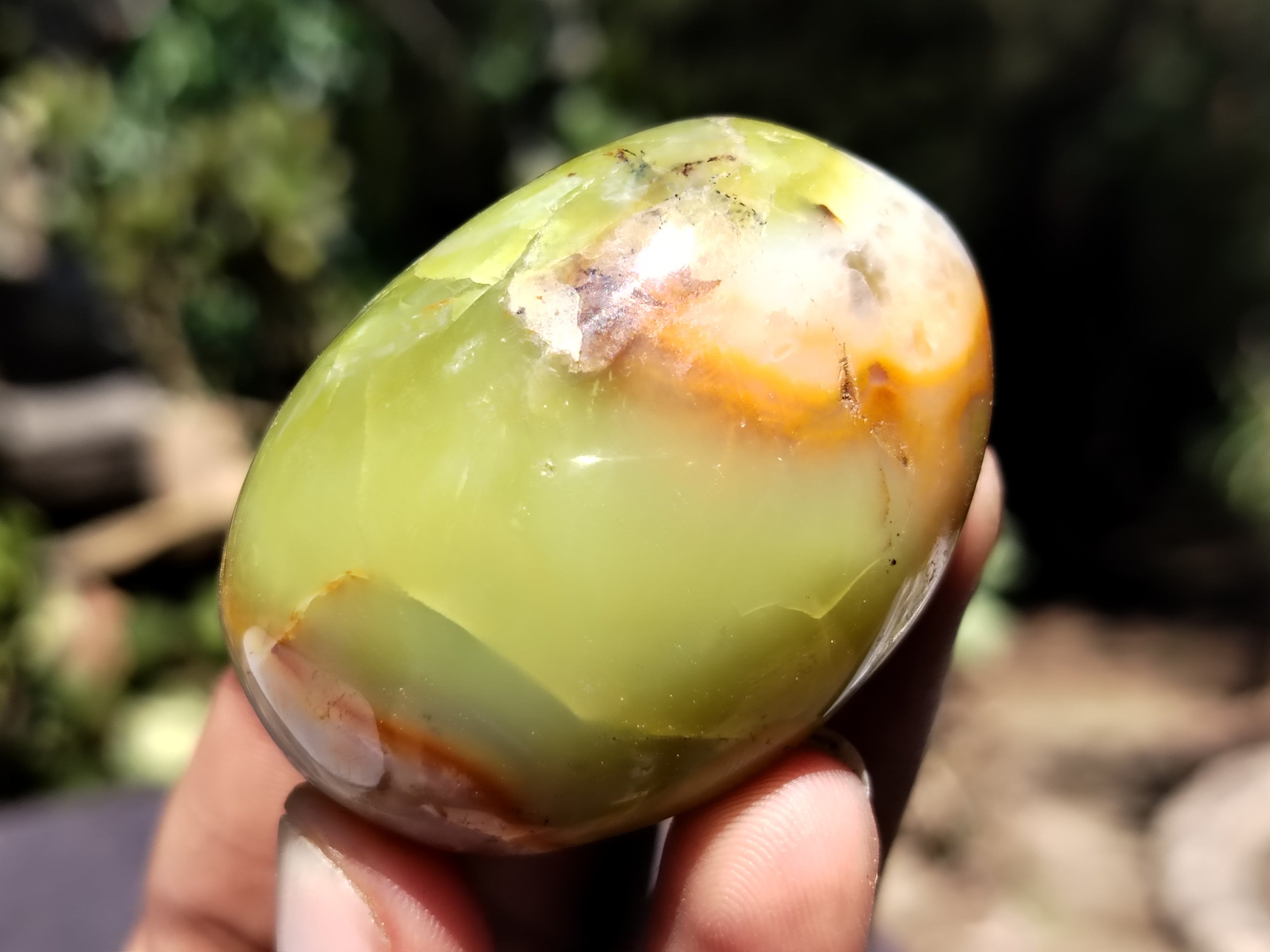 Polished Green Opal Palm Stones x 12 From Madagascar - Toprock Gemstones and Minerals 
