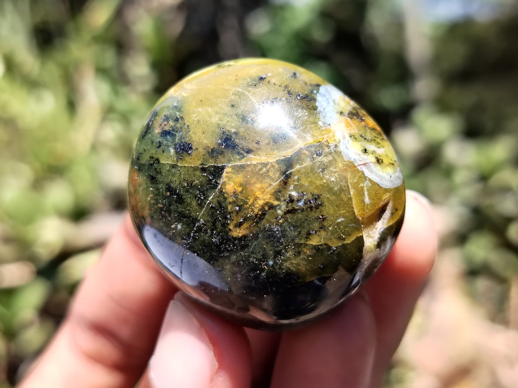 Polished Green Opal Palm Stones x 12 From Madagascar - Toprock Gemstones and Minerals 