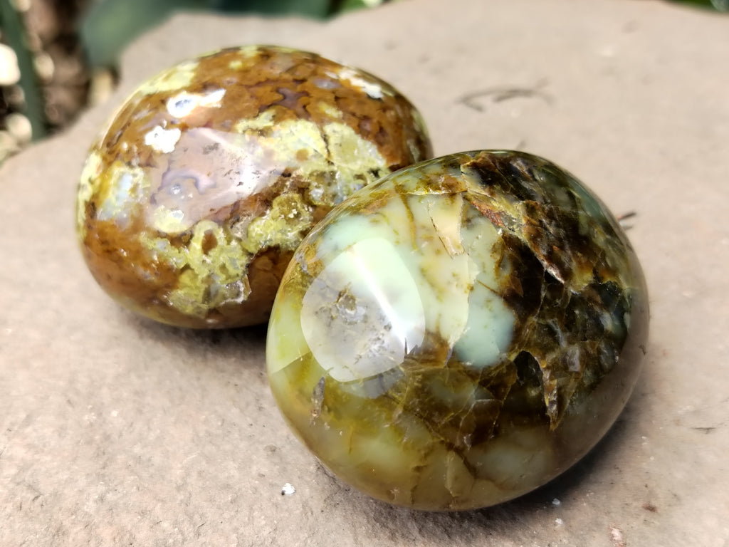 Polished Green Opal Palm Stones x 12 From Madagascar - Toprock Gemstones and Minerals 