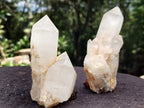 Natural Assortment Of Quartz Clusters x 14 From Madagascar - Toprock Gemstones and Minerals 