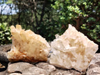 Natural Assortment Of Quartz Clusters x 14 From Madagascar - Toprock Gemstones and Minerals 