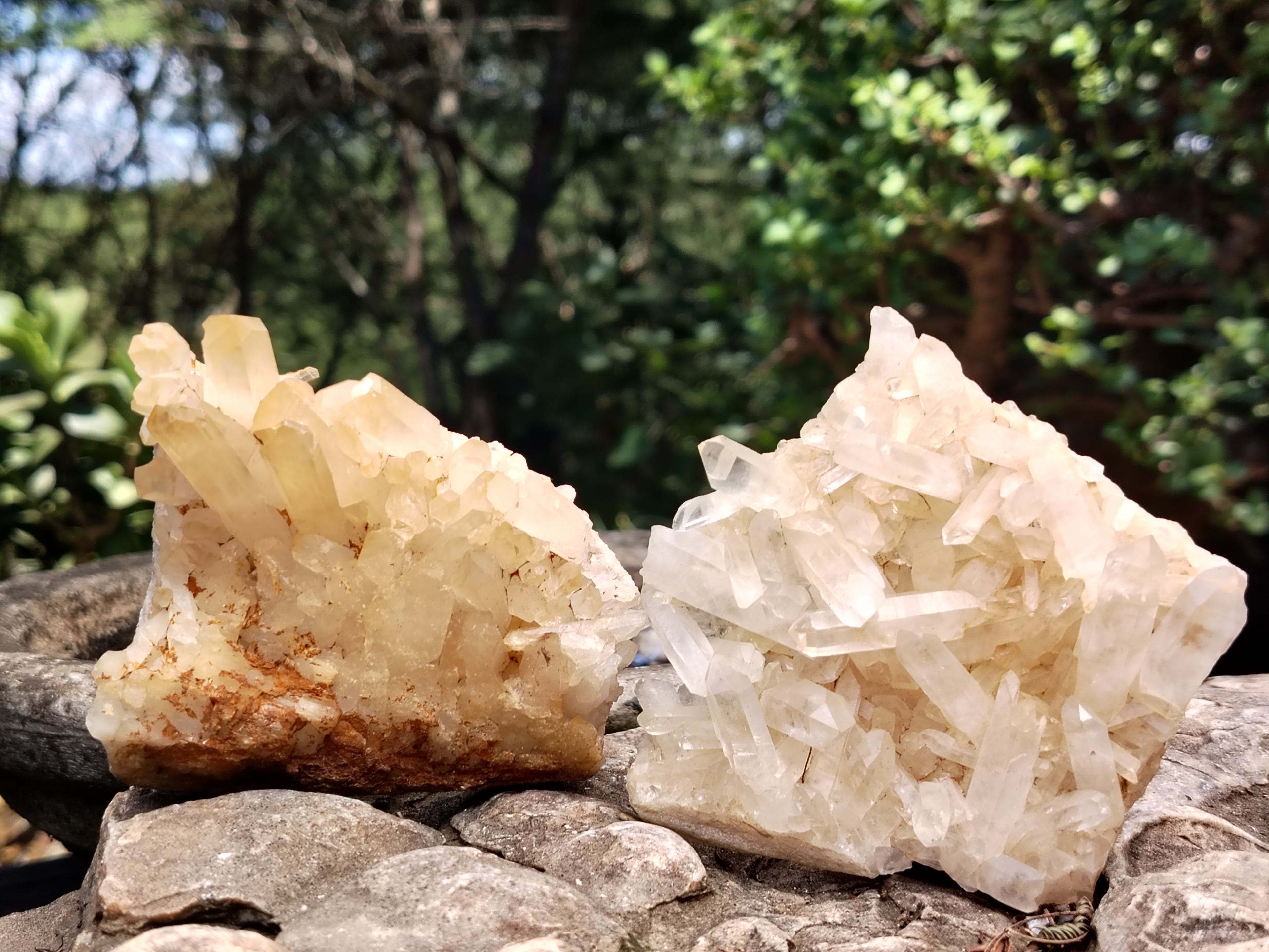 Natural Assortment Of Quartz Clusters x 14 From Madagascar - Toprock Gemstones and Minerals 