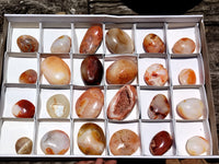 Polished Carnelian Palm Stones x 24 From Madagascar - Toprock Gemstones and Minerals 