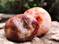 Polished Carnelian Palm Stones x 24 From Madagascar - Toprock Gemstones and Minerals 