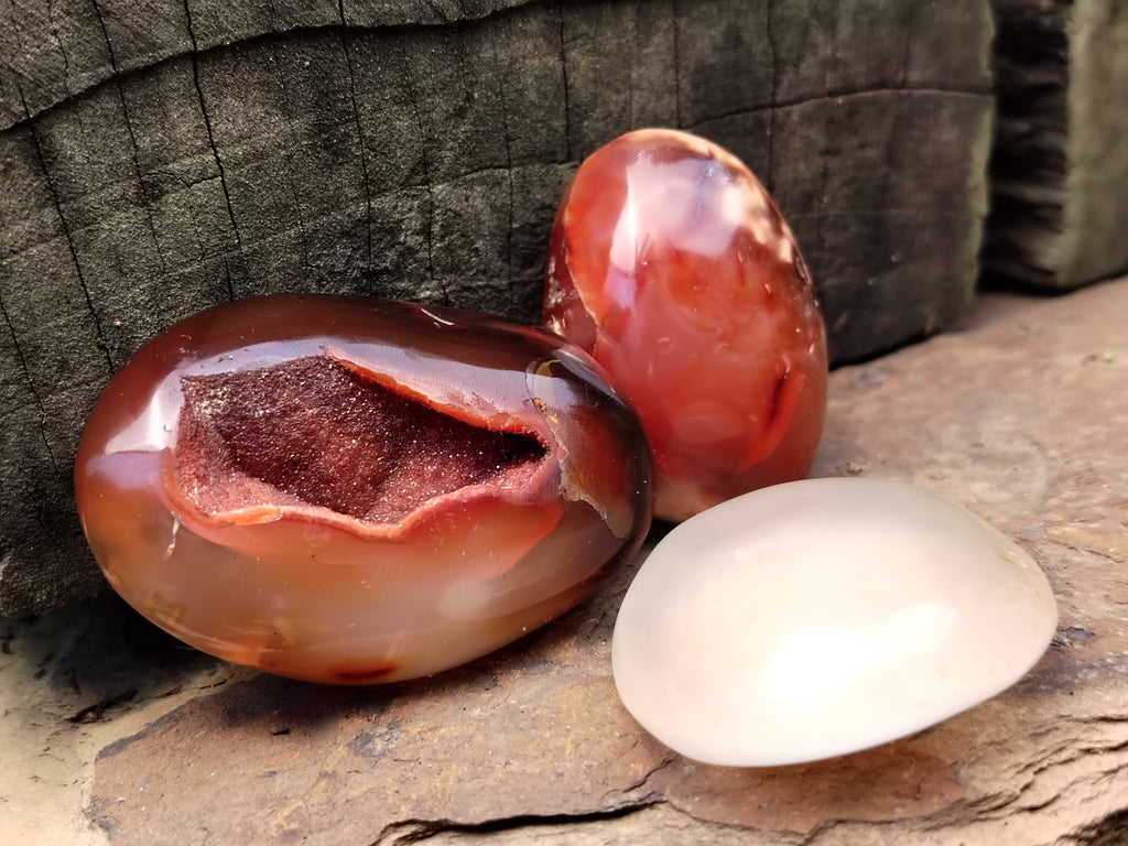 Polished Carnelian Palm Stones x 24 From Madagascar - Toprock Gemstones and Minerals 
