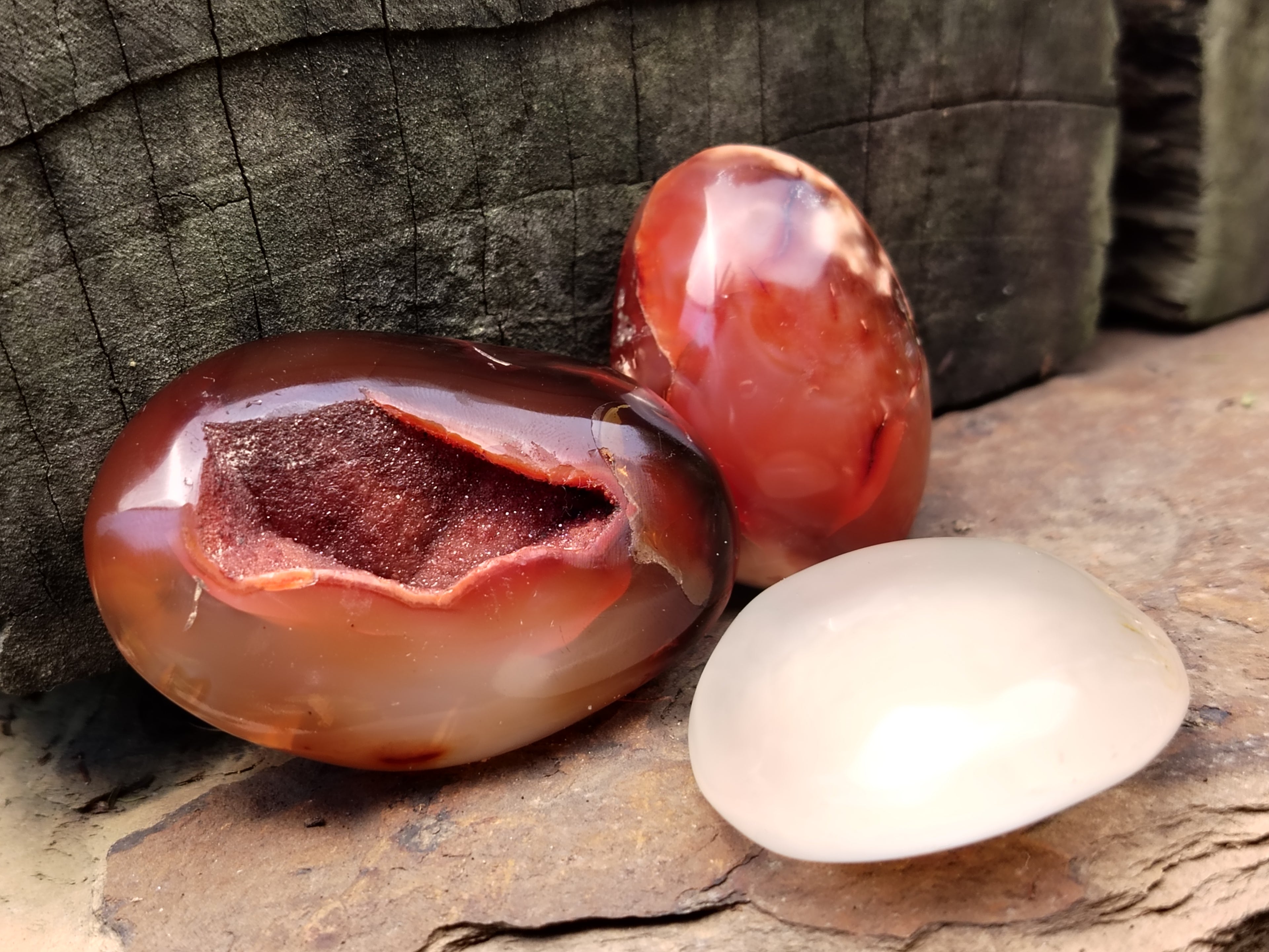 Polished Carnelian Palm Stones x 24 From Madagascar - Toprock Gemstones and Minerals 