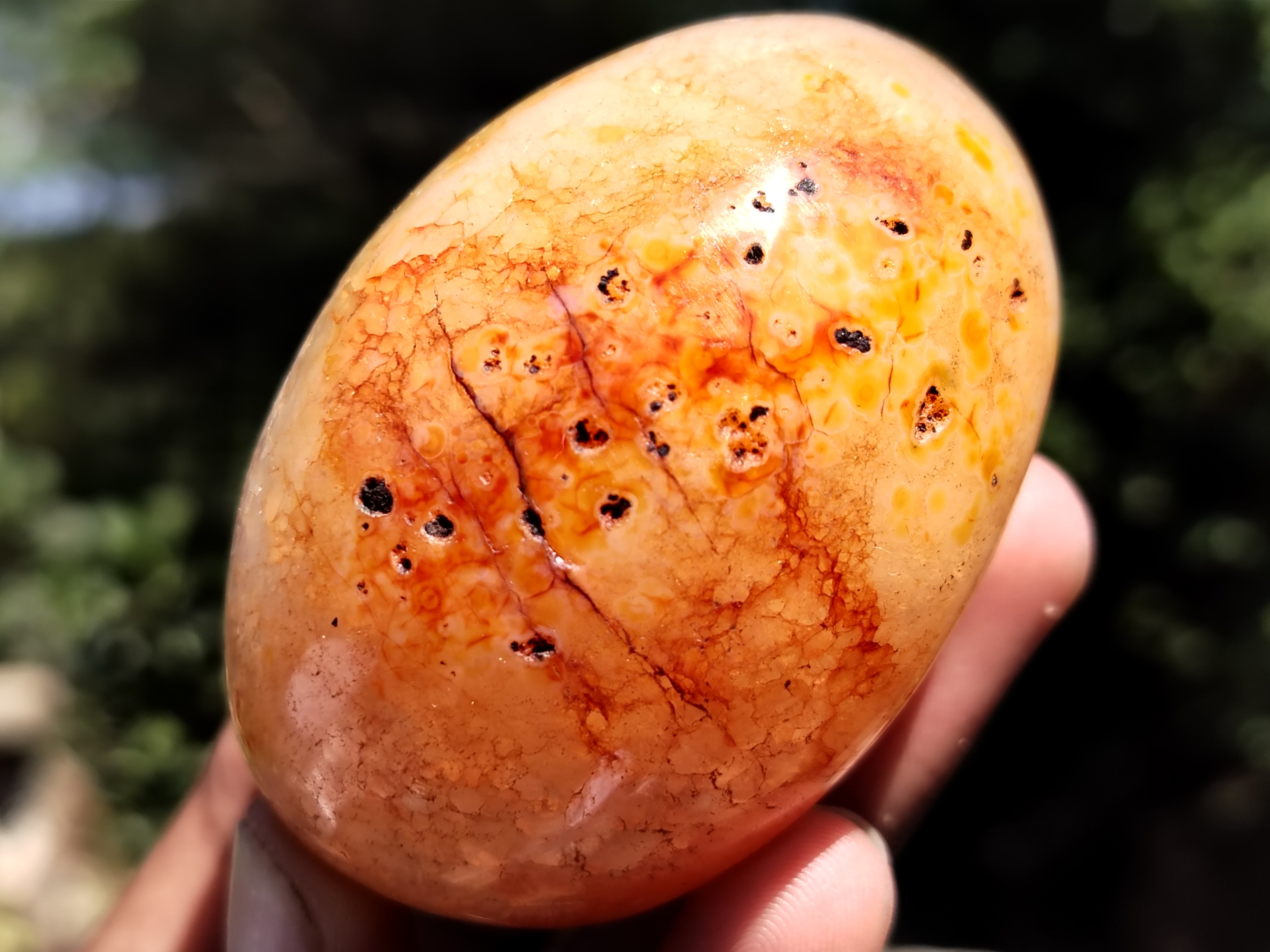Polished Carnelian Palm Stones x 24 From Madagascar - Toprock Gemstones and Minerals 