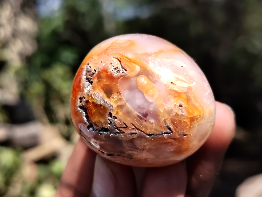 Polished Carnelian Palm Stones x 24 From Madagascar - Toprock Gemstones and Minerals 