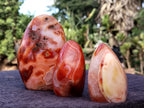 Polished Carnelian Standing Free Forms x 5 From Madagascar - Toprock Gemstones and Minerals 