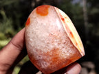 Polished Carnelian Standing Free Forms x 5 From Madagascar - Toprock Gemstones and Minerals 