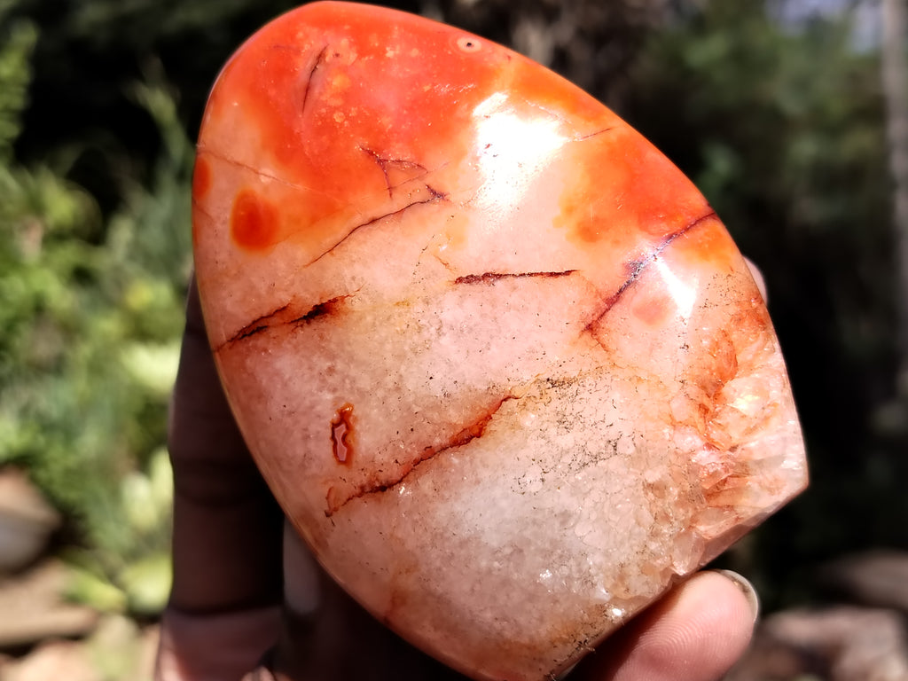 Polished Carnelian Standing Free Forms x 5 From Madagascar - Toprock Gemstones and Minerals 