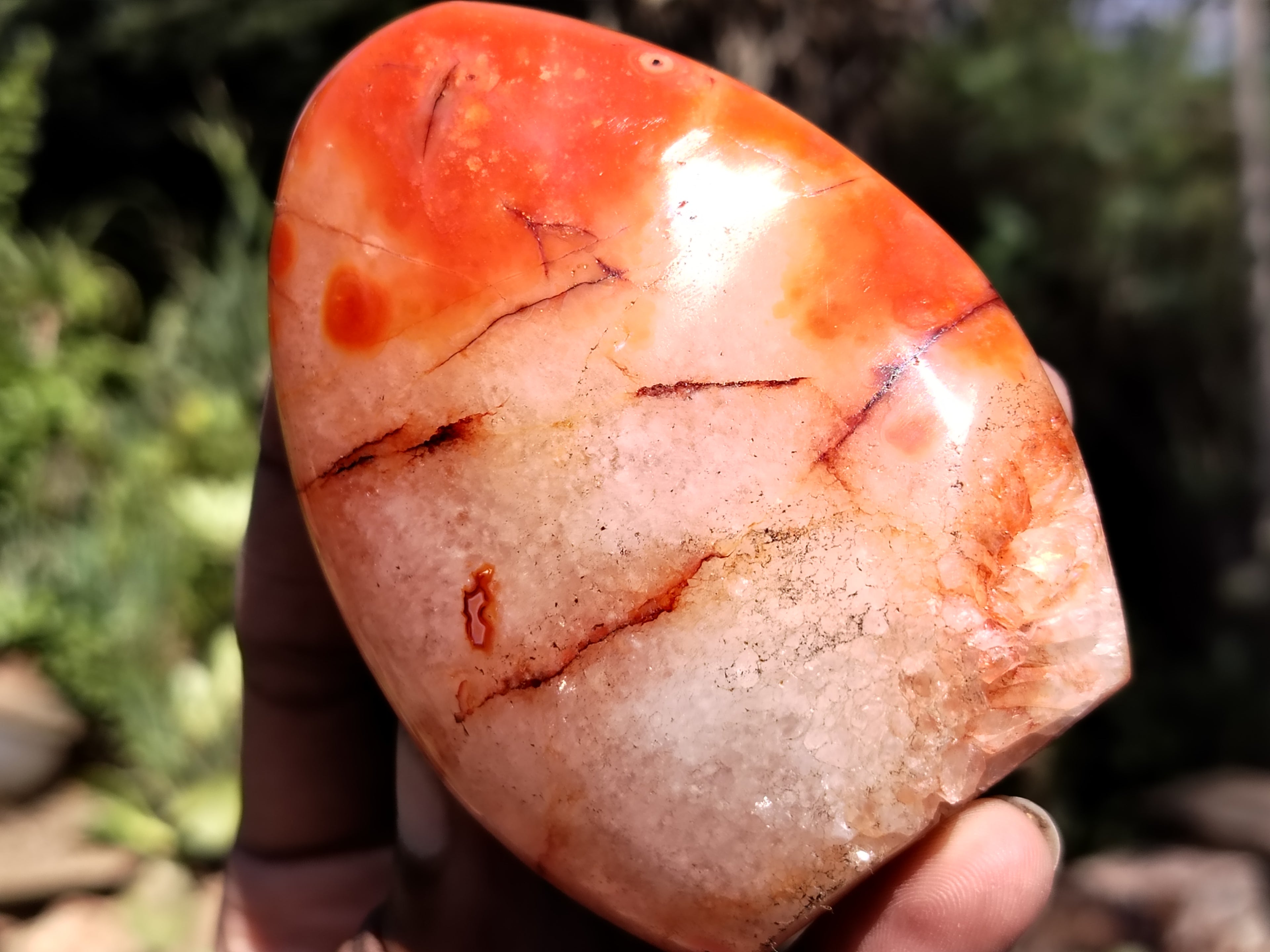Polished Carnelian Standing Free Forms x 5 From Madagascar - Toprock Gemstones and Minerals 