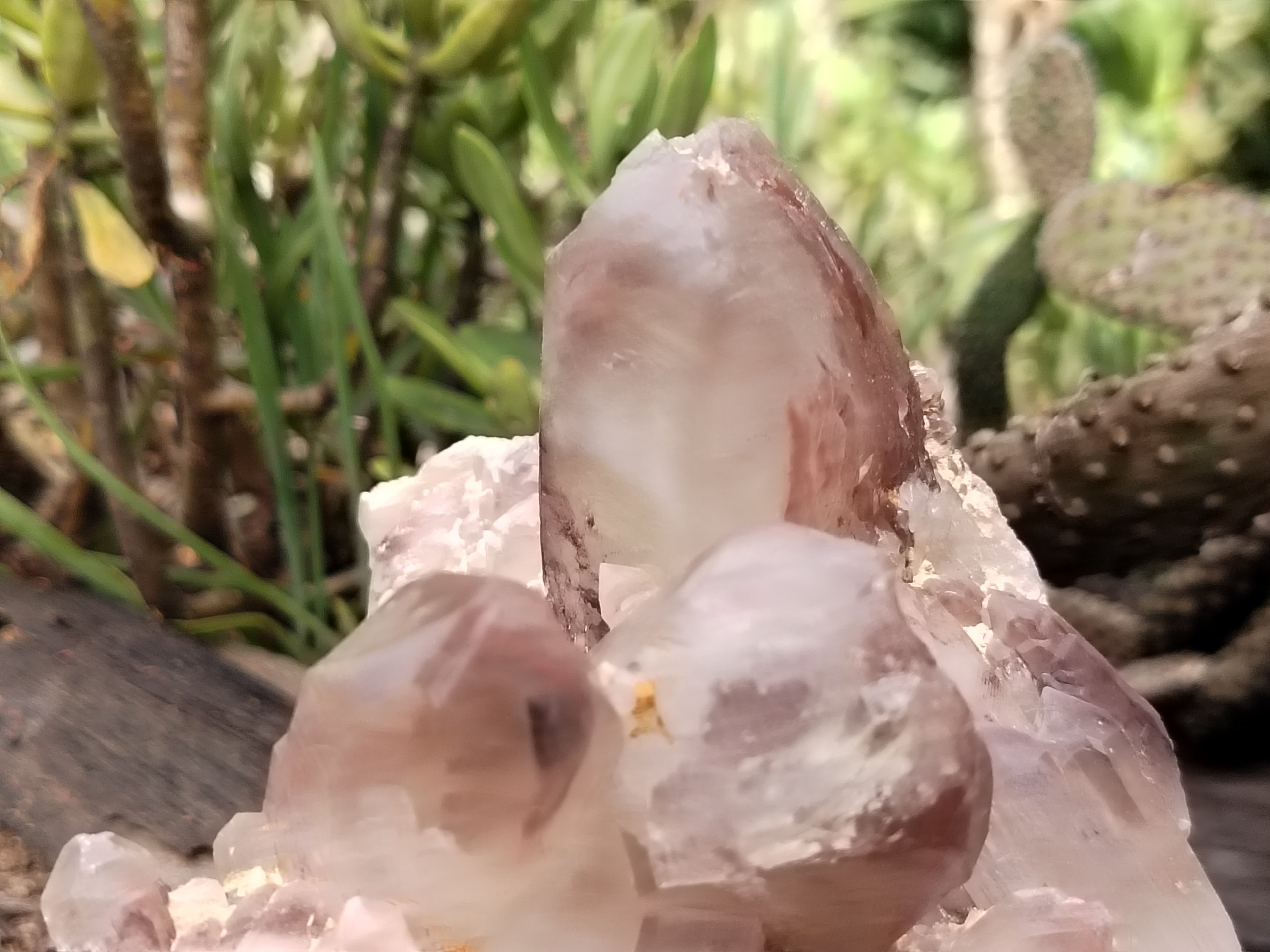 Natural Hematoid Quartz Clusters x 2 From Zambia - Toprock Gemstones and Minerals 