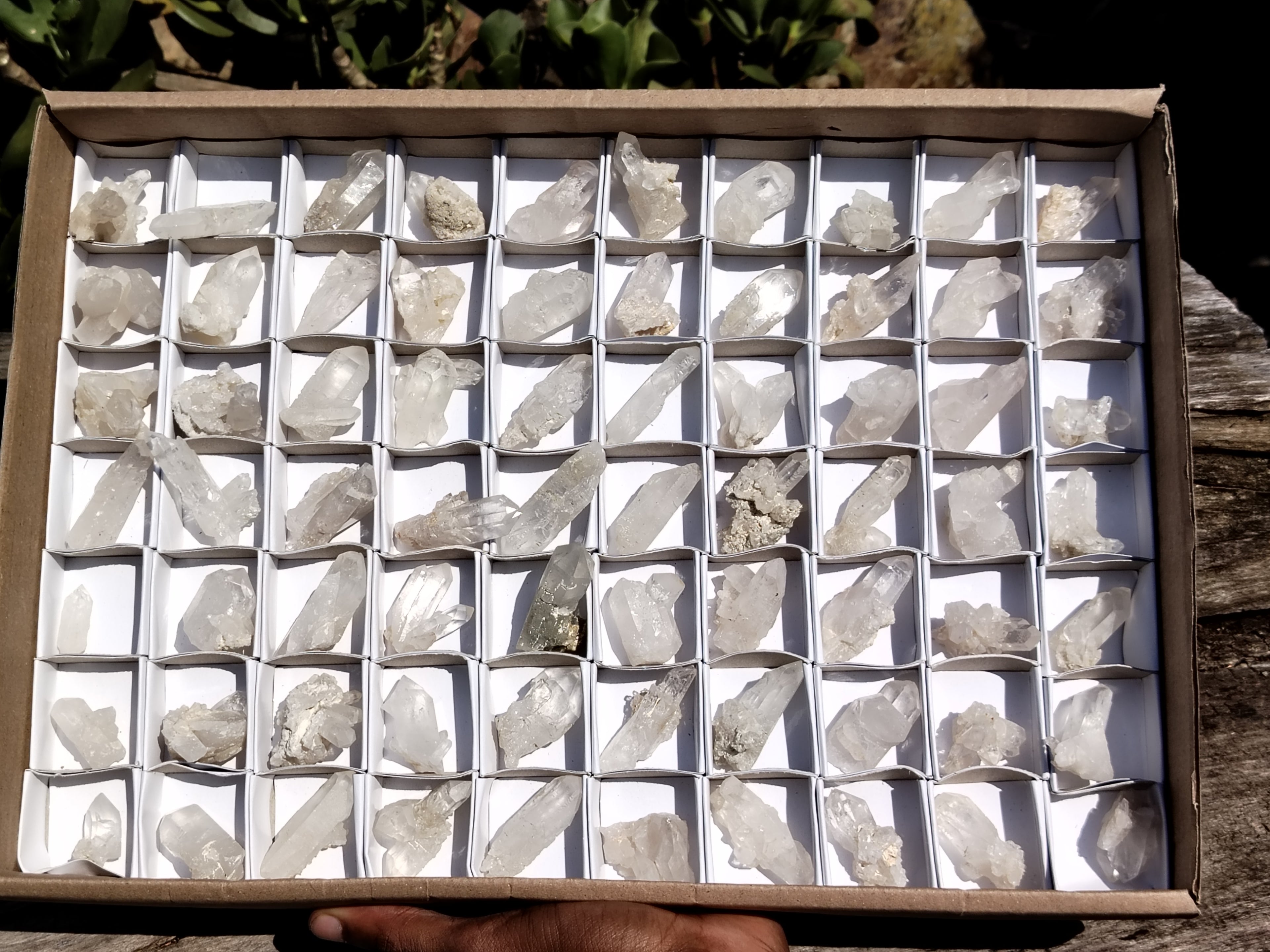 Natural Clear Quartz Crystals x 70 From Mpika, Zambia - Toprock Gemstones and Minerals 