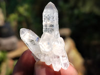 Natural Clear Quartz Crystals x 70 From Mpika, Zambia - Toprock Gemstones and Minerals 