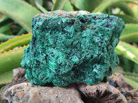 Natural Silky Malachite Specimens x 3 From Kasompe, Congo - Toprock Gemstones and Minerals 