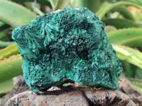 Natural Silky Malachite Specimens x 3 From Kasompe, Congo - Toprock Gemstones and Minerals 
