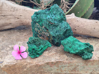 Natural Silky Malachite Specimens x 3 From Kasompe, Congo - Toprock Gemstones and Minerals 
