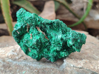 Natural Silky Malachite Specimens x 3 From Kasompe, Congo - Toprock Gemstones and Minerals 