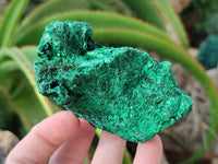 Natural Silky Malachite Specimens x 3 From Kasompe, Congo - Toprock Gemstones and Minerals 
